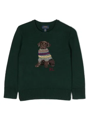 Polo ralph lauren dog on sale sweater