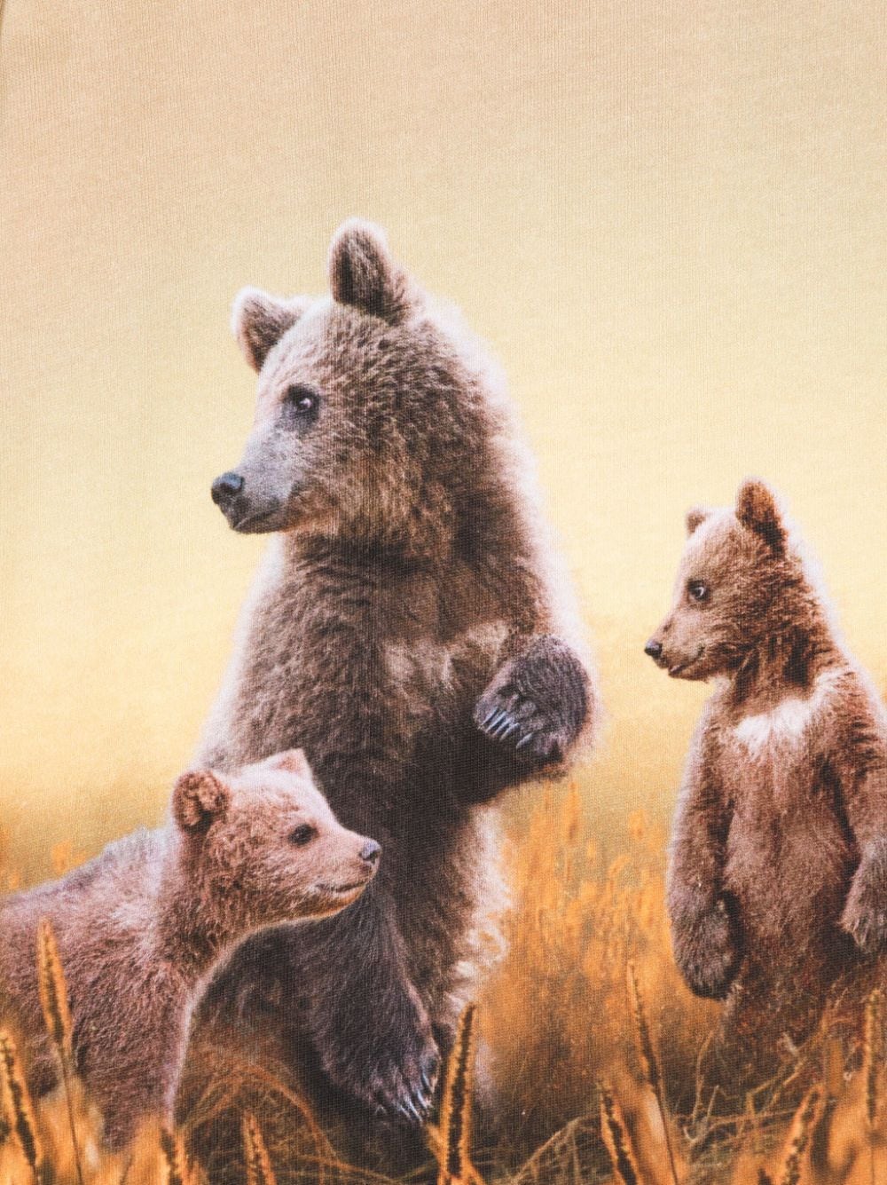 Mama Bear and Three Cubs Mural Wallpaper