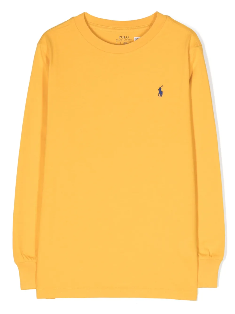 Ralph Lauren Kids' Polo Pony Cotton Sweatshirt In Gold