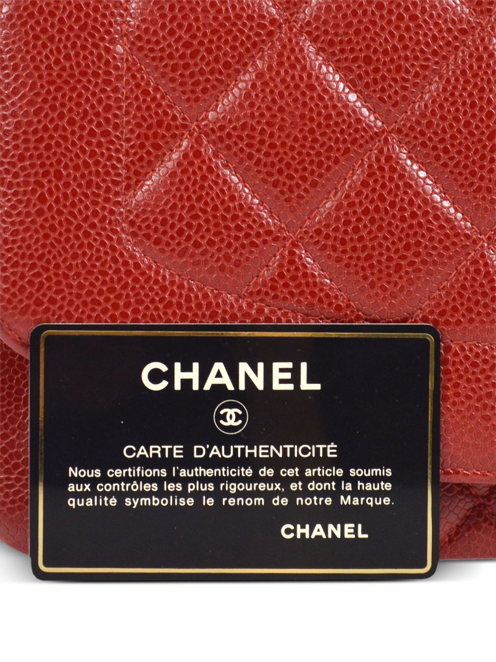 CHANEL 1995 medium Diana shoulder bag Women