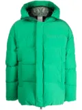 Doublet padded animal motif-hoodie jacket - Green