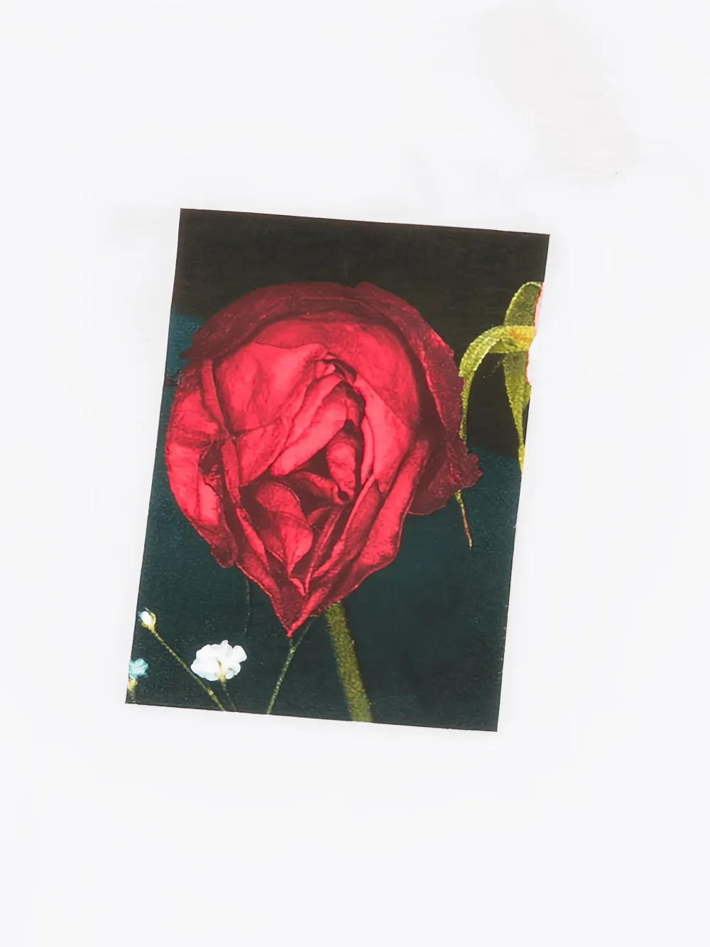 Supreme Araki Rose T-shirt Wit