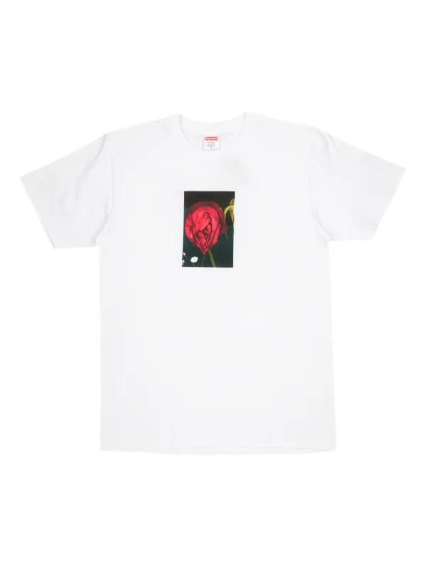 16aw Supreme “Araki Rose” 21058066_62264400_600.jpg