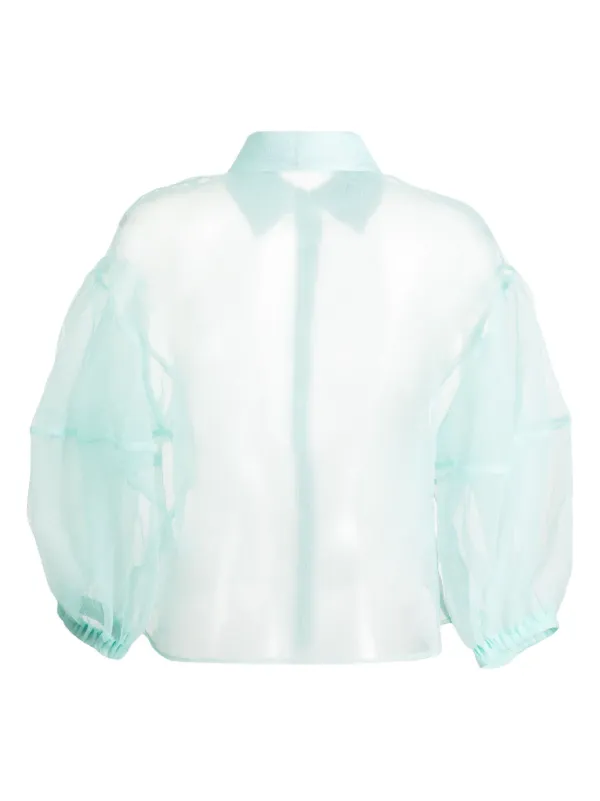 sheer organza top