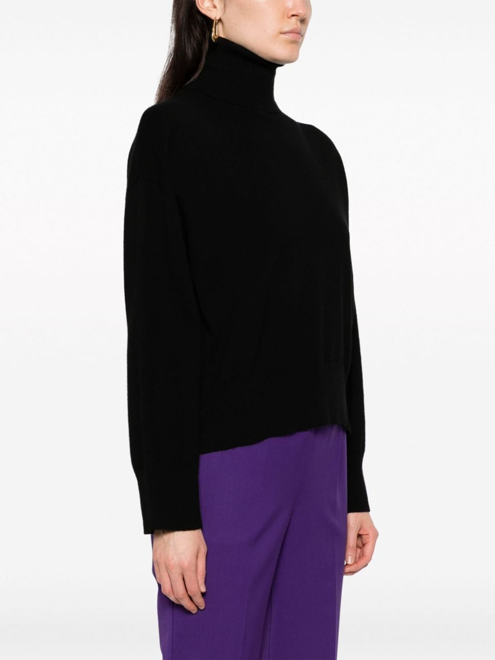 Shop P.a.r.o.s.h Roll-neck Cashmere Jumper In Black