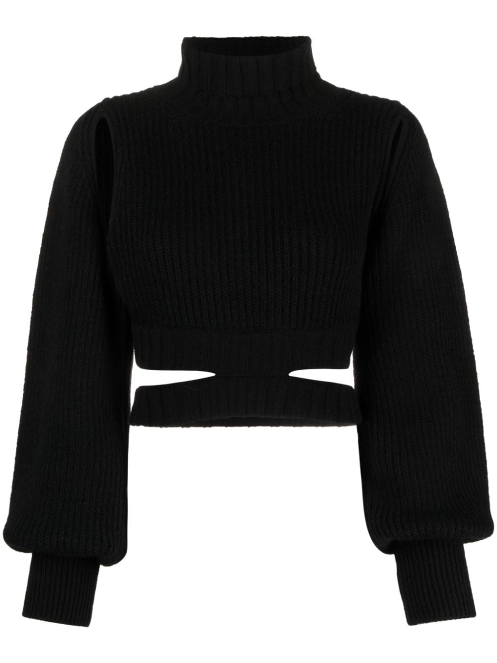 Shop Andreädamo Roll-neck Cropped Knit Jumper In Black