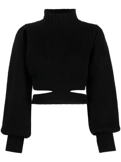 ANDREĀDAMO roll-neck cropped knit jumper