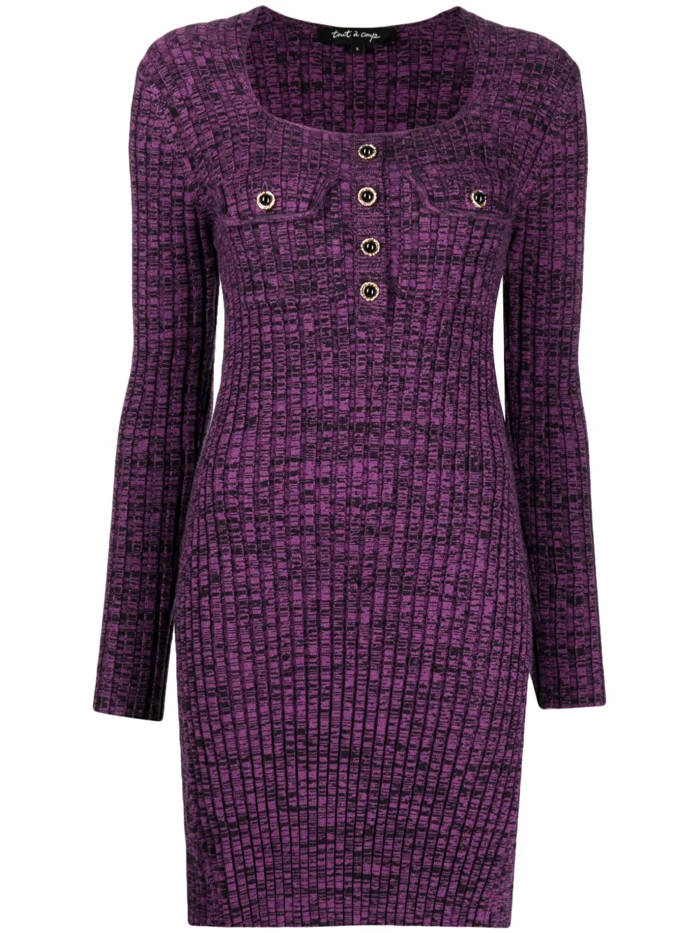 Tout A Coup Decorative-button Fitted Dress In Purple