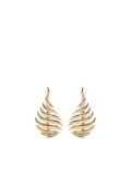 Fernando Jorge 18kt yellow gold flame earrings