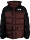 The North Face Himalayan logo-embroidered down jacket - Brown