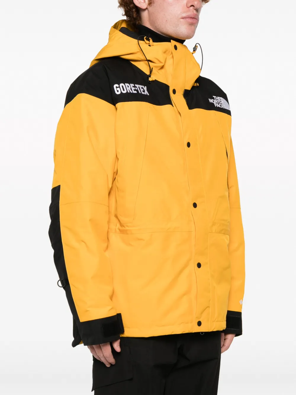 Gore Tex Mountain Guide