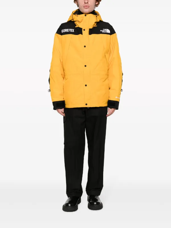 The north face cheap mountain guide jacket