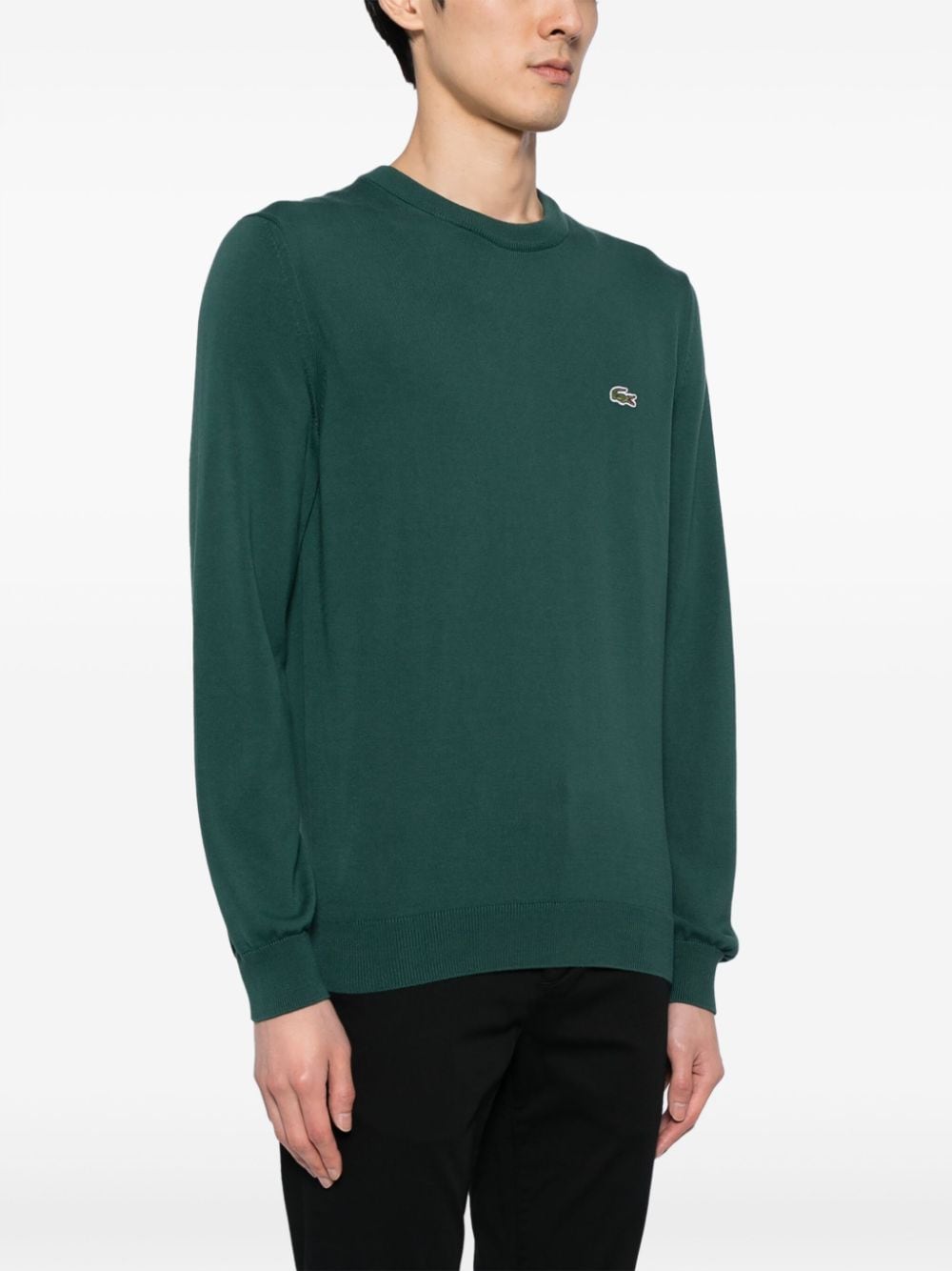 Shop Lacoste Logo-embroidered Cotton Jumper In Green