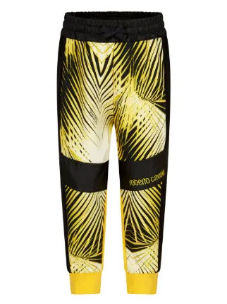 Roberto Cavalli Junior