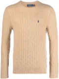 Polo Ralph Lauren Polo Ralph Lauren Sweaters Brown