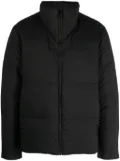 Veilance Conduit mock-neck padded jacket - Black