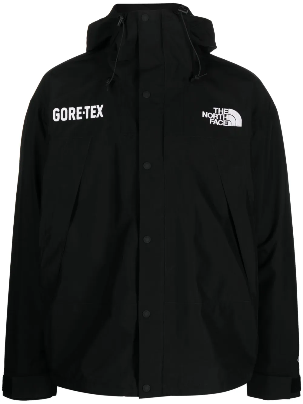 Veste gore tex discount femme north face