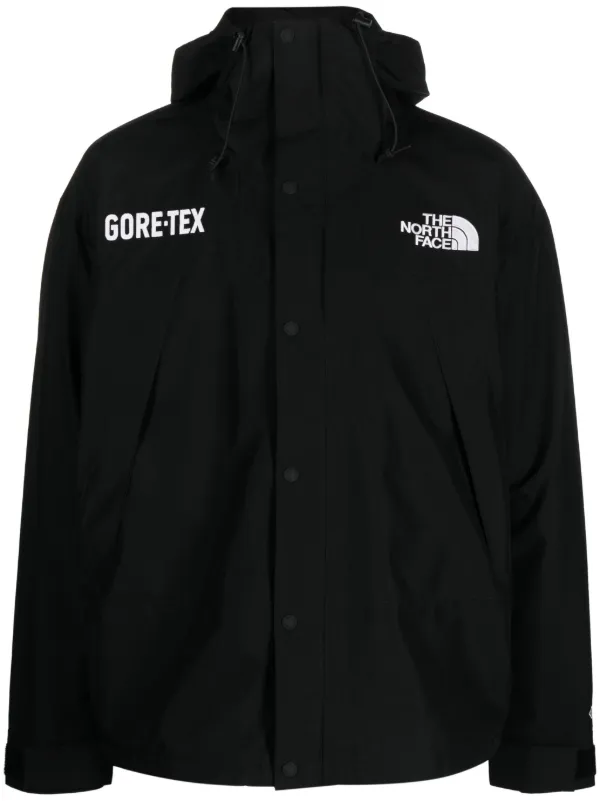 North face mountain jacket hotsell gore tex