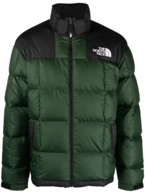 north face down coat mens