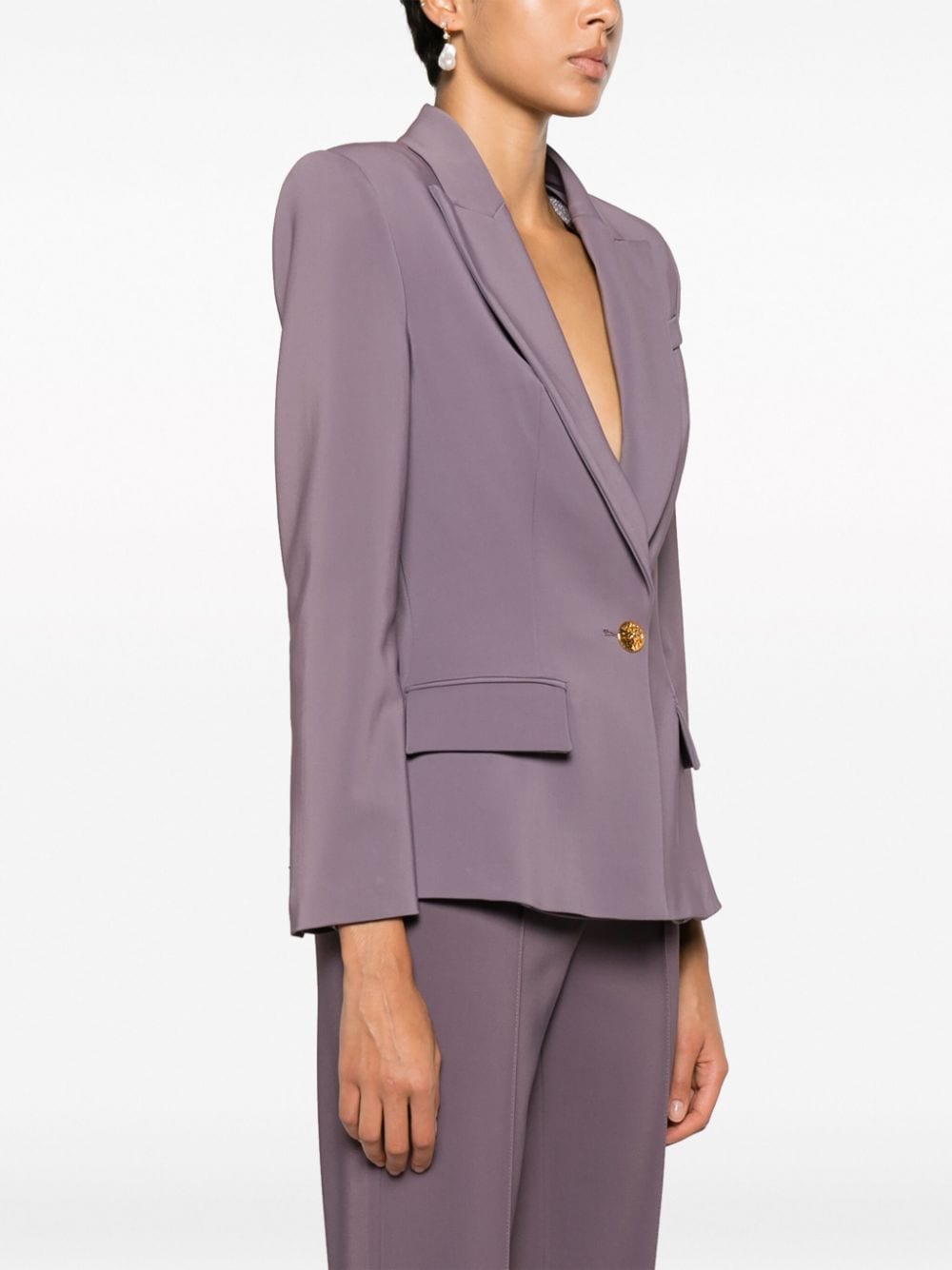 Shop Elisabetta Franchi Peak-lapel Single-breasted Blazer In Purple