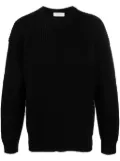 Marine Serre ribbed-knit wool jumper - Black