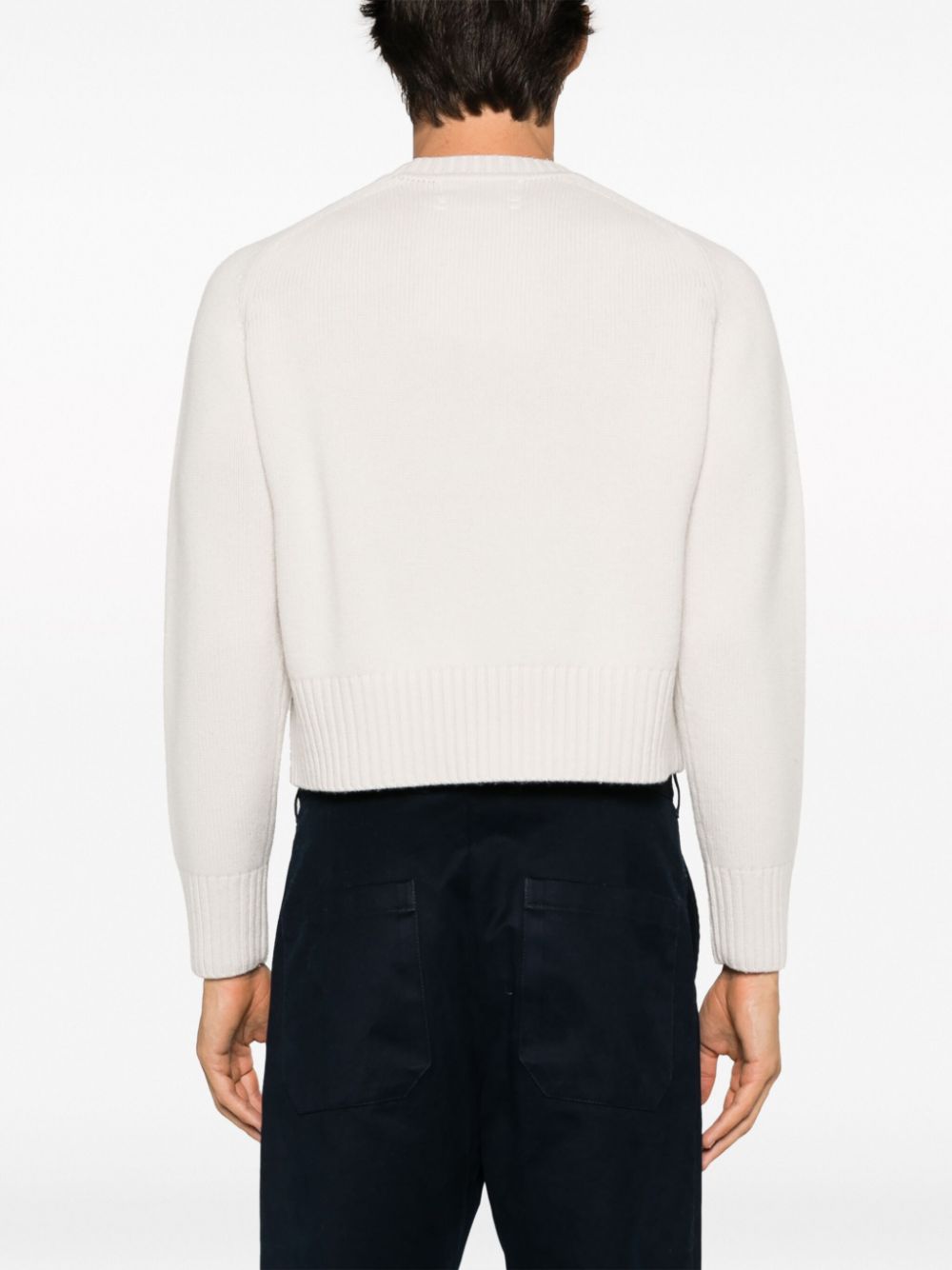 Shop Extreme Cashmere N°167 Please Cashmere Jumper In Neutrals