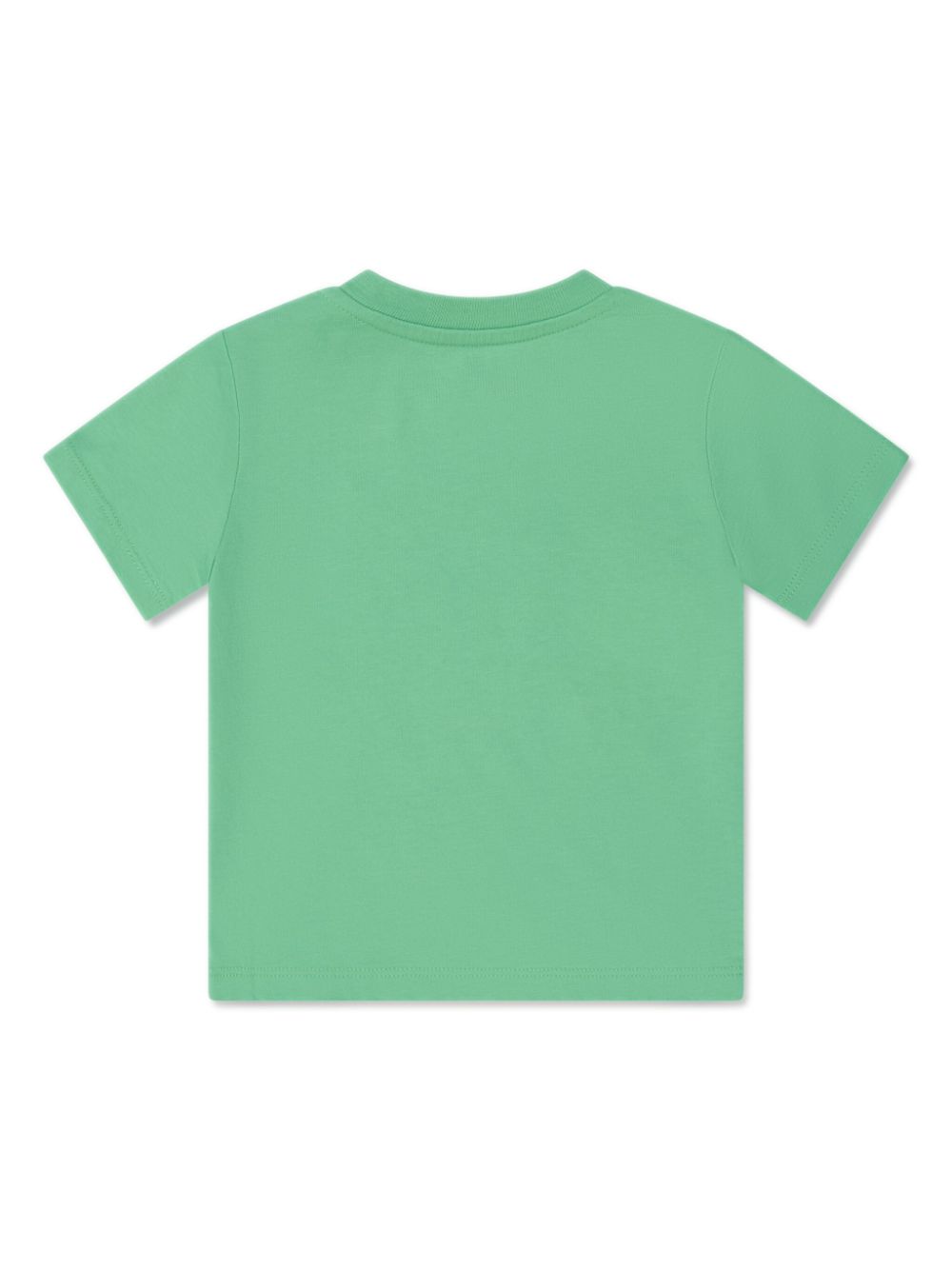 Ralph Lauren Kids Polo Pony-embroidered cotton T-shirt - Groen