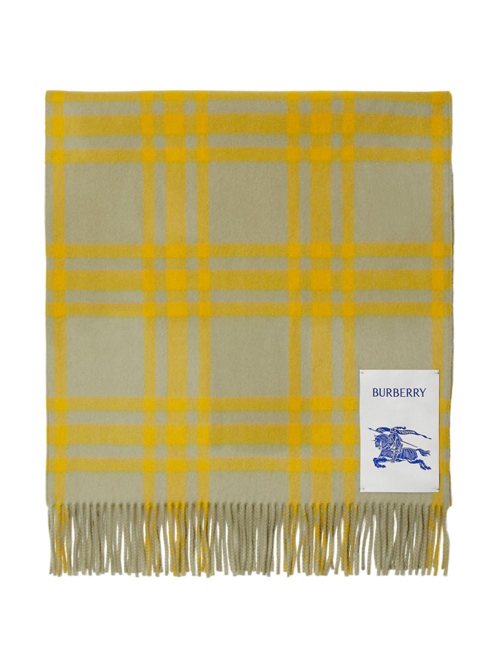 Shop Burberry Checked Reversible Cashmere Scarf In Grün