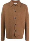 Altea virgin-wool button-fastening knitted cardigan - Brown