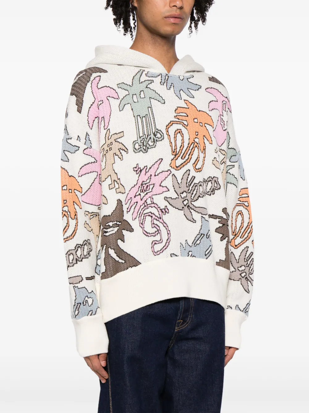  Palm Angels Palmity Knitted Hoodie - Multicolour 