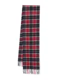 Barbour tartan-check wool scarf - Blue