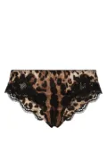 Dolce & Gabbana leopard-print briefs - Neutrals