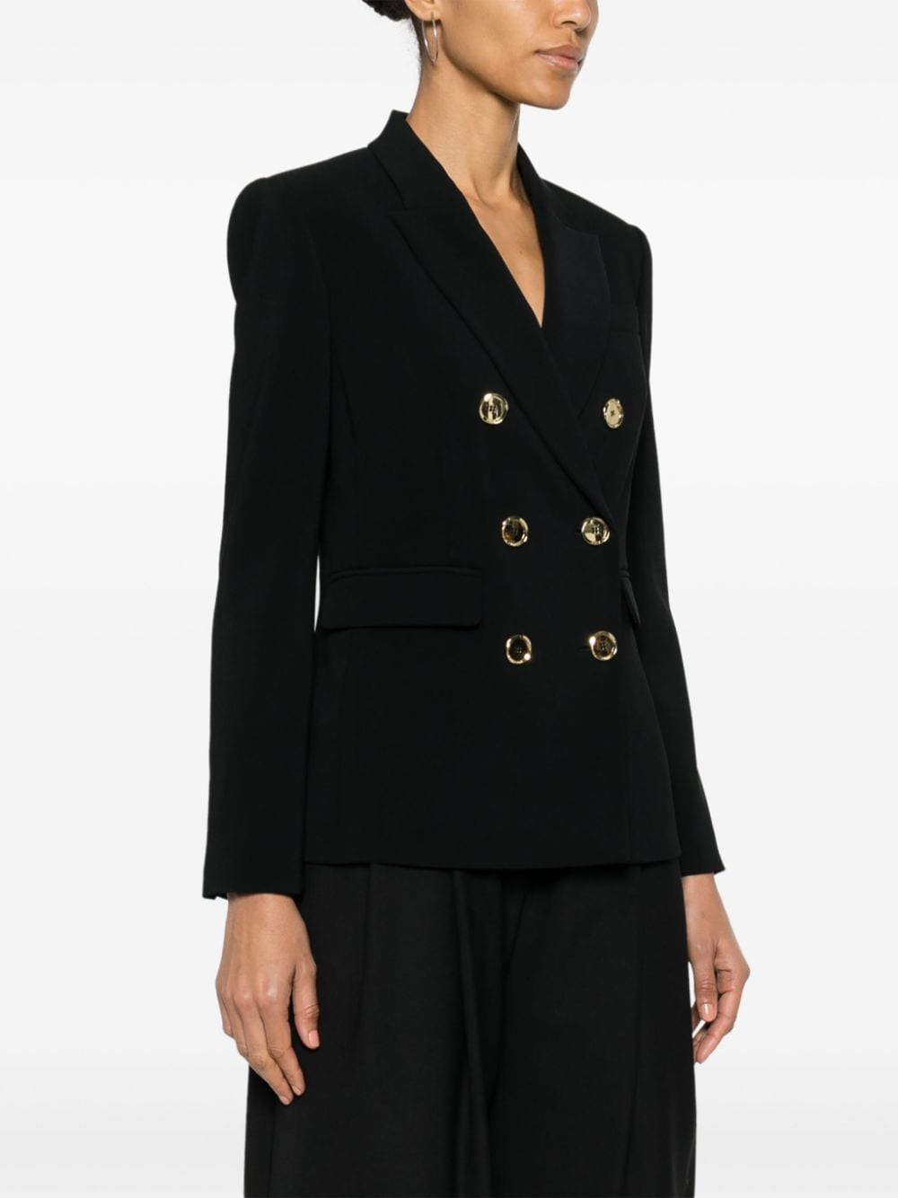 Shop Pinko Double-breasted Blazer In Black