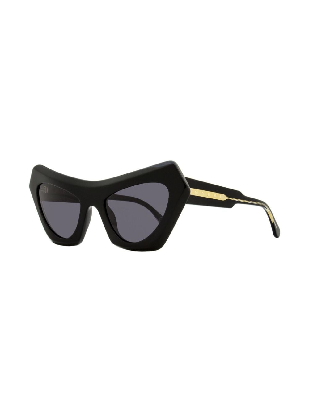 Shop Marni Eyewear Devil's Pool Cat-eye Sunglasses In Black