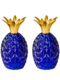 Mario Luca Giusti Caterina & Vittoria acrylic salt and pepper (set of two) - Blue