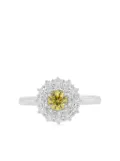 HYT Jewelry platinum white and yellow diamond ring - Silver