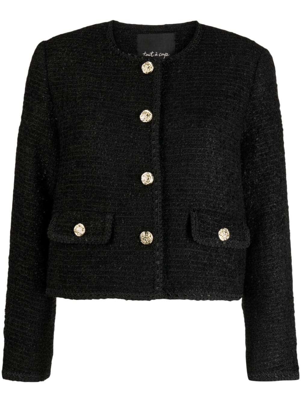 Tout A Coup Embellished Button-up Jacket In Black