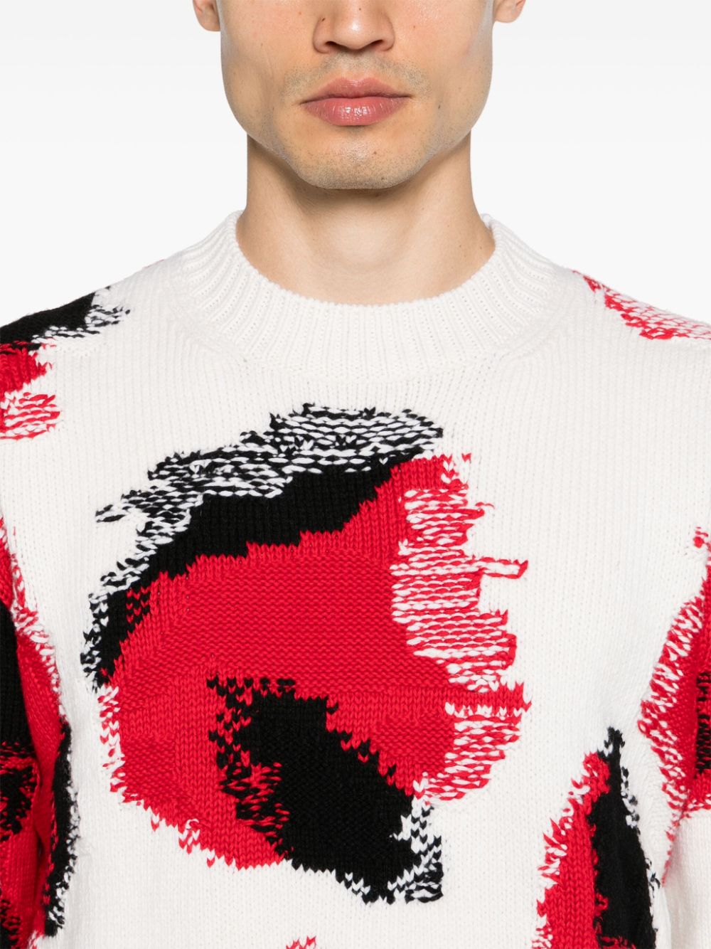 Alexander McQueen Obscured Skull intarsia-knit jumper Men