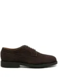 Sebago Canton suede brogue shoes - Brown