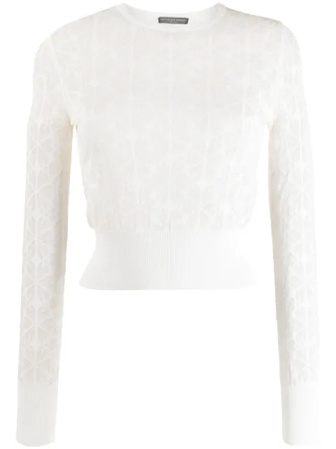 Alexander McQueen Pre-Owned 2010s patterned-jacquard long-sleeve top