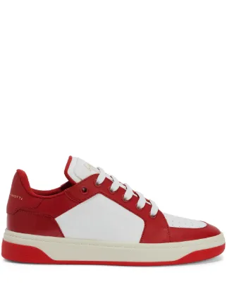 Giuseppe Zanotti