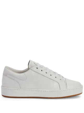 Giuseppe Zanotti