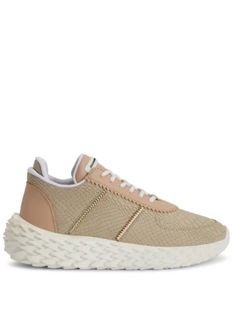 Giuseppe Zanotti tenis Urchin
