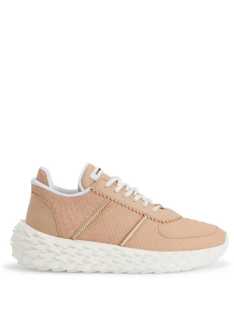 Giuseppe Zanotti tenis Urchin