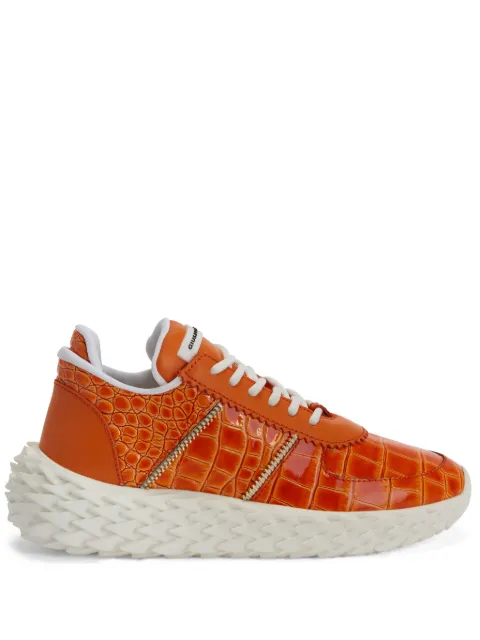 Giuseppe Zanotti tenis Urchin con estampado de cocodrilo