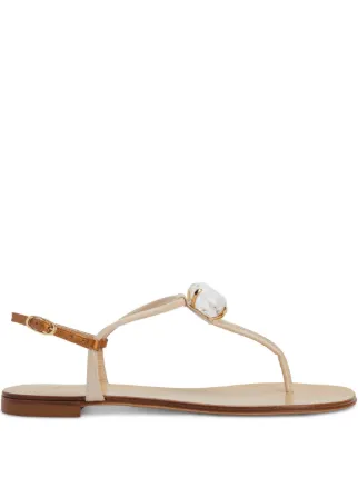 Giuseppe Zanotti