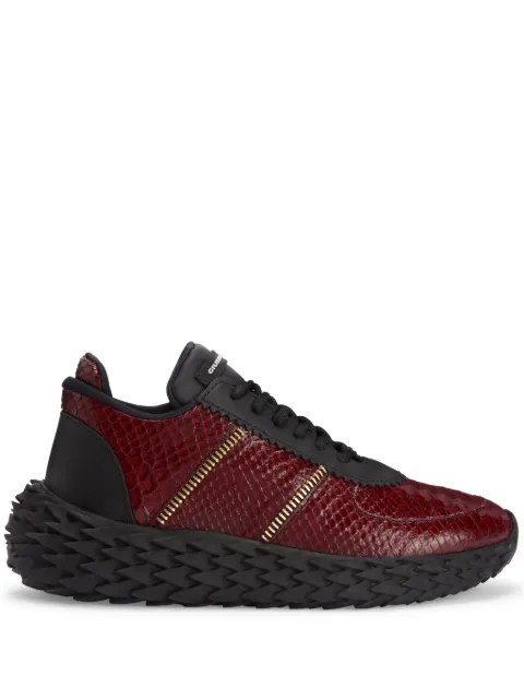 Giuseppe Zanotti Urchin leather sneakers