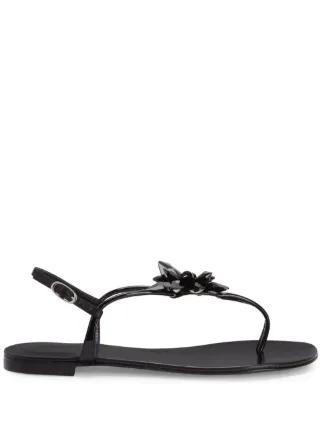 Giuseppe Zanotti