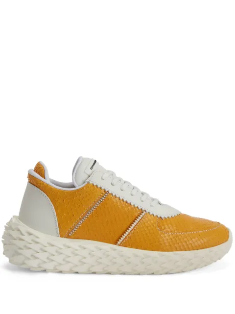 Giuseppe Zanotti tenis Urchin