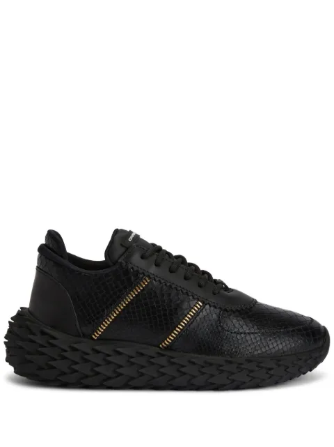 Giuseppe Zanotti tenis Urchin